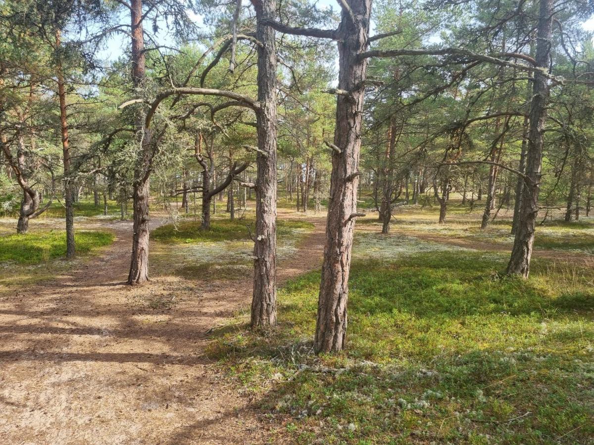 Norwegian Saunahouse Haapse Εξωτερικό φωτογραφία