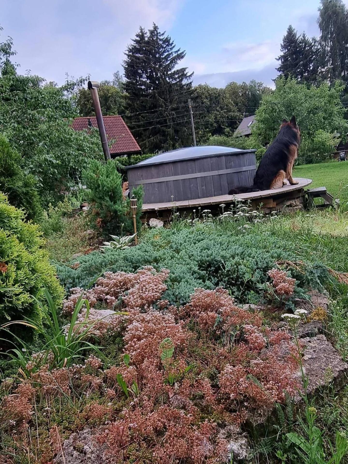Norwegian Saunahouse Haapse Εξωτερικό φωτογραφία